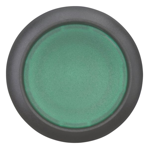 Illuminated pushbutton actuator, RMQ-Titan, Flush, momentary, green, Blank, Bezel: black image 6