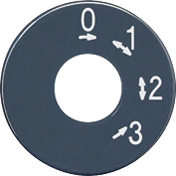 Spare scale disc SKS1101-4 image 4