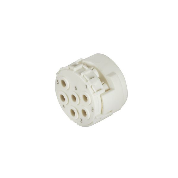 contact insert (circular connector), Plug-in connector, Pin, 6-pole, C image 1