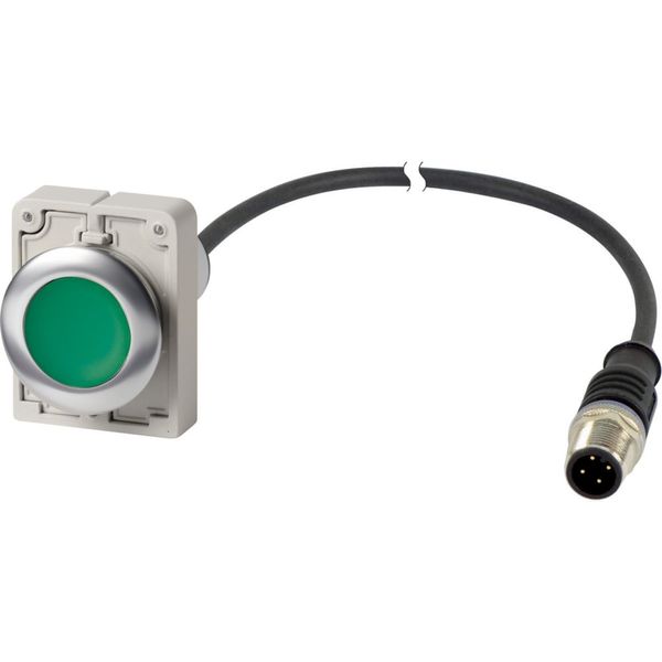 Pushbutton, Flat, maintained, 1 N/O, Cable (black) with M12A plug, 4 pole, 1 m, green, Blank, Metal bezel image 4