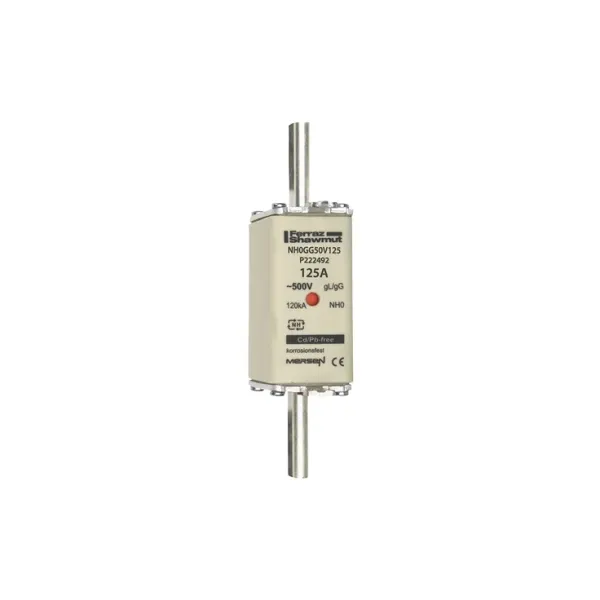 Fuse-link NH0 gG 500VAC 125A live tags Double indicator image 2