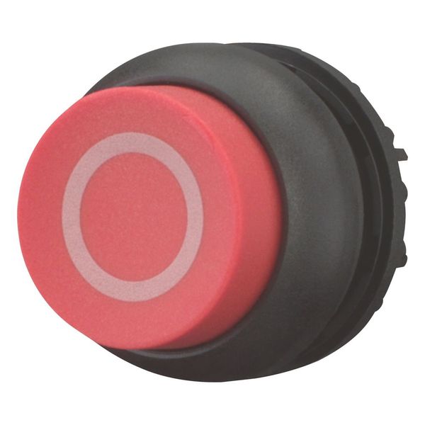 Pushbutton, RMQ-Titan, Extended, momentary, red, inscribed, Bezel: black image 6