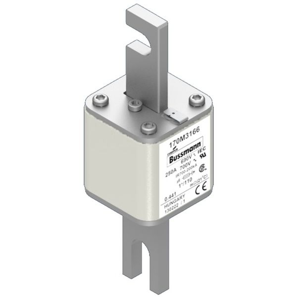 Fuse-link, high speed, 250 A, AC 690 V, compact size 1, 45 x 45 x 134 mm, aR, DIN, IEC, single indicator image 1