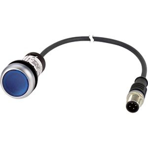 Illuminated pushbutton actuator, Flat, momentary, 1 N/O, Cable (black) with M12A plug, 4 pole, 1 m, LED Blue, Blue, Blank, 24 V AC/DC, Bezel: titanium image 5