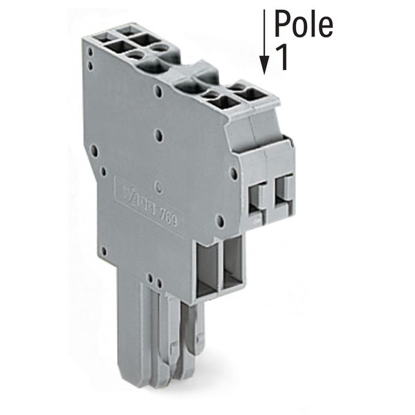 2-conductor female connector CAGE CLAMP® 4 mm² gray image 2