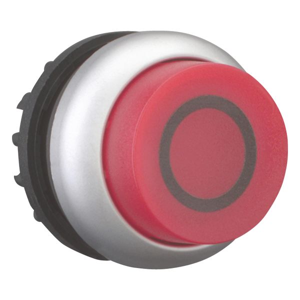 Illuminated pushbutton actuator, RMQ-Titan, Extended, maintained, red, inscribed, Bezel: titanium image 7
