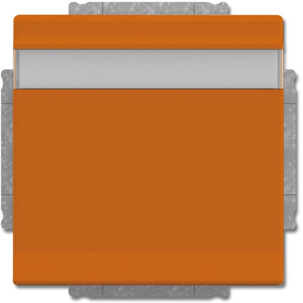 20 EUKNB-14-82 CoverPlates (partly incl. Insert) future®, Busch-axcent®, solo®; carat®; Busch-dynasty® orange RAL 2004 image 1