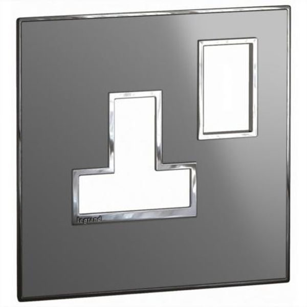 Arteor™ - British standard plate for switched sockets 1 gang - Reflective Metal - Stainless Steel image 1