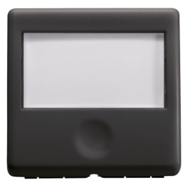 PUSH-BUTTON WITH BACKLIT NAME PLATE 250V ac - NO 10A - 2 MODULES - SYSTEM BLACK image 1