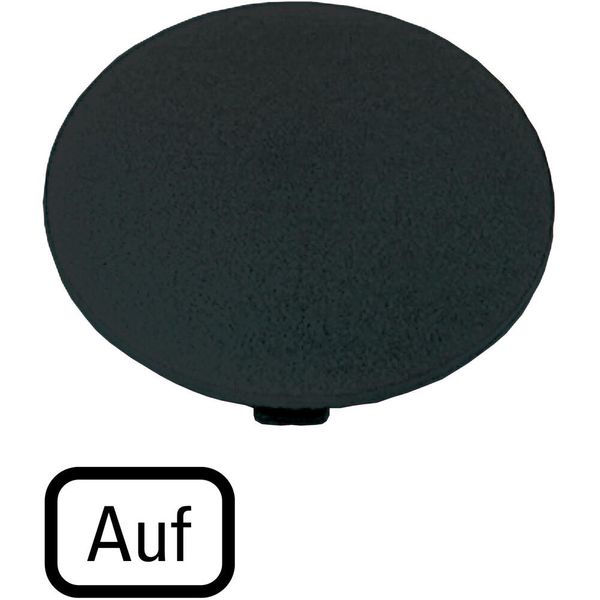 Button plate, mushroom black, UP image 2