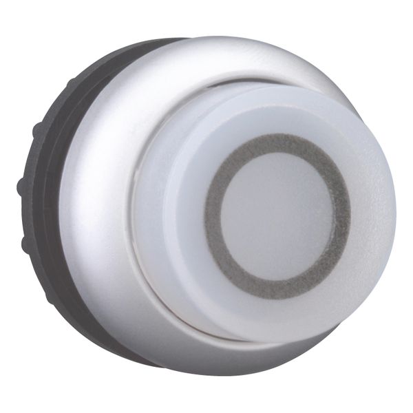 Illuminated pushbutton actuator, RMQ-Titan, Extended, momentary, White, inscribed 0, Bezel: titanium image 12