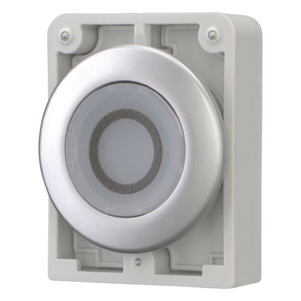 Illuminated pushbutton actuator, RMQ-Titan, Flat, momentary, White, inscribed 0, Metal bezel image 3
