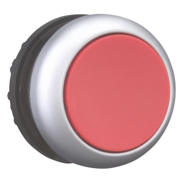 Pushbutton, RMQ-Titan, Flat, momentary, red, Blank, Bezel: titanium image 12