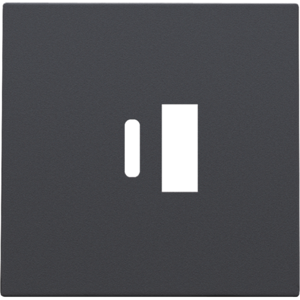 Finishing set for dual smart USB-A and USB-C charger, anthracite coate image 1