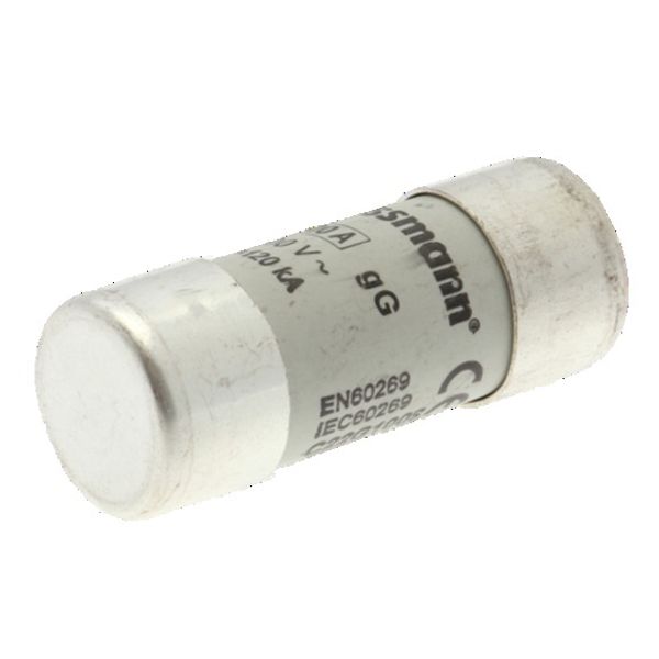 Fuse-link, LV, 100 A, AC 500 V, 22 x 58 mm, gL/gG, IEC, with striker image 3