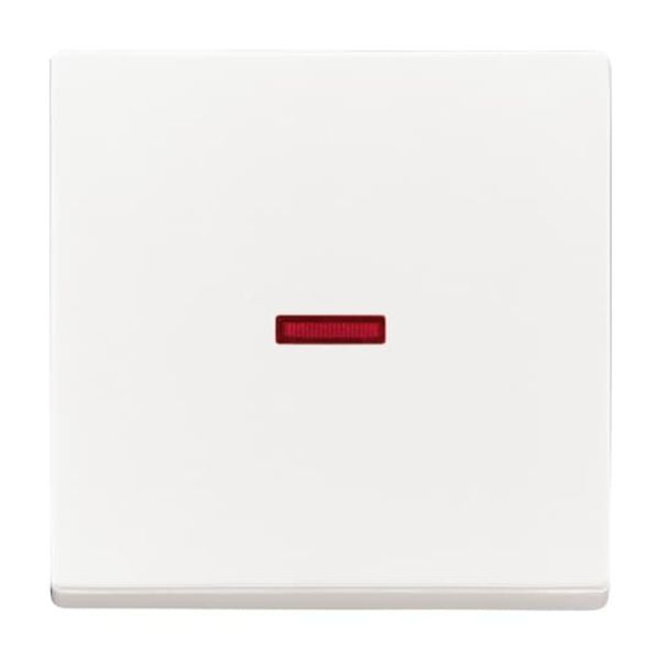 1789-84 CoverPlates (partly incl. Insert) future®, Busch-axcent®, solo®; carat® Studio white image 4