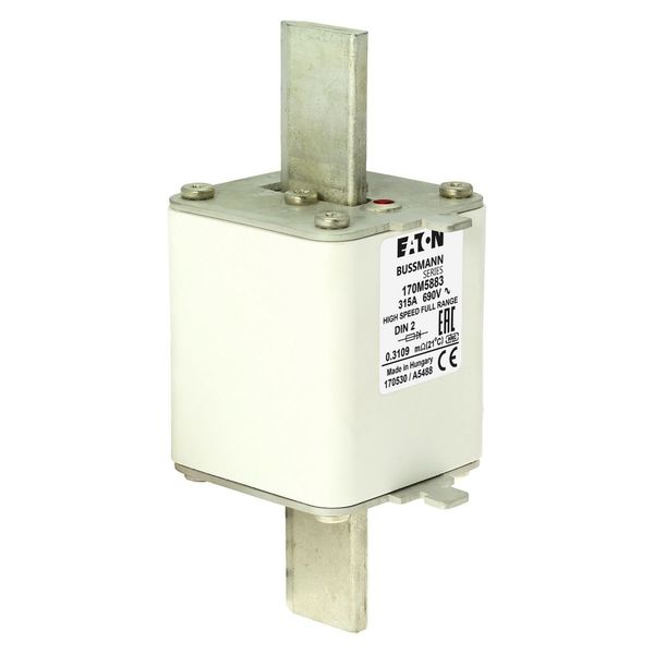 Fuse-link, high speed, 315 A, AC 690 V, DIN 2, 60 x 74 x 150 mm, gR, DIN, IEC, single indicator image 21