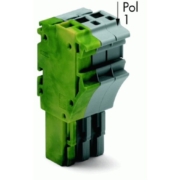 1-conductor female connector Push-in CAGE CLAMP® 4 mm² gray image 3