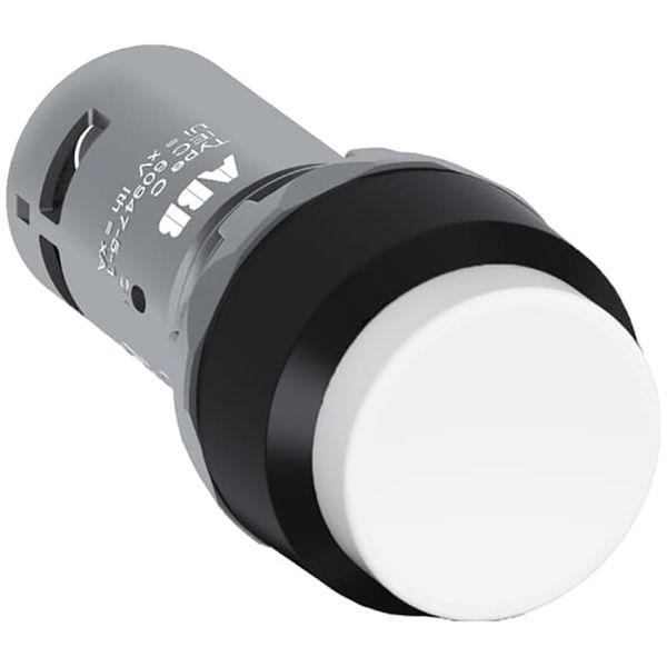 PUSHBUTTON CP4-10W-11 image 1