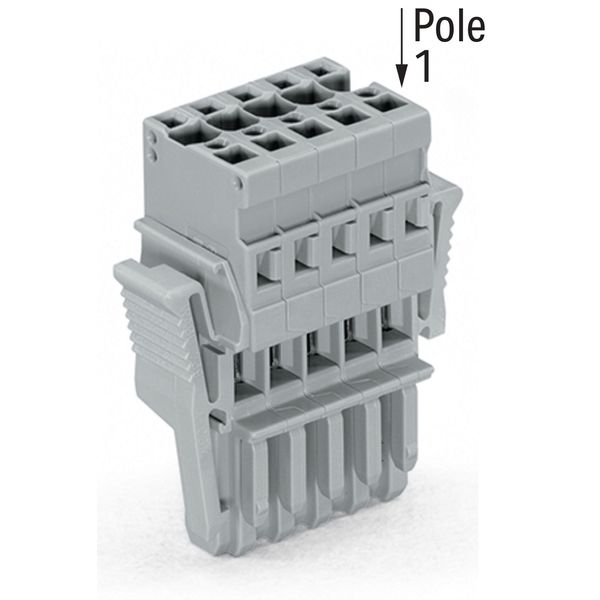1-conductor female connector CAGE CLAMP® 4 mm² gray image 2
