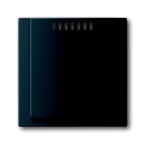 6541-775 CoverPlates (partly incl. Insert) carat® black matt image 1