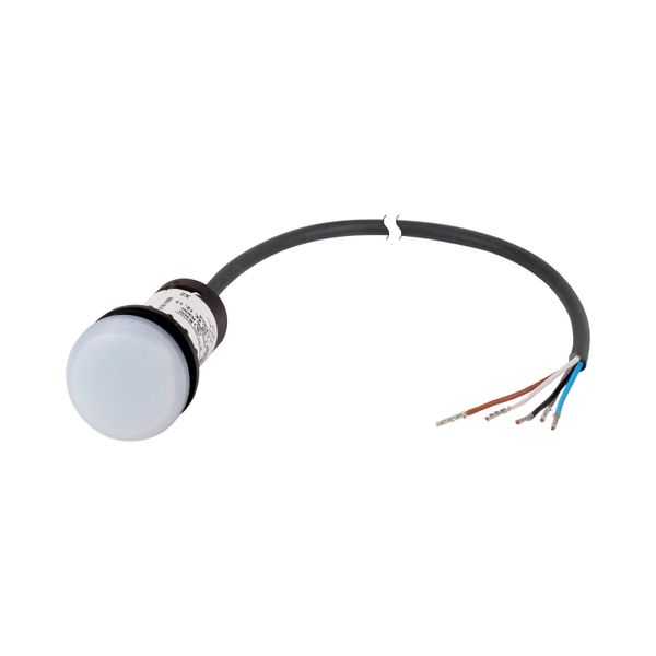 Indicator light, Flush, Cable (black) with non-terminated end, 5-pole, 1 m, red/green/blue/yellow/white, 24 V DC image 5