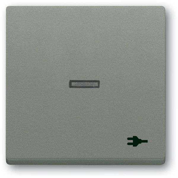 1789 ST-803 CoverPlates (partly incl. Insert) Busch-axcent®, solo® grey metallic image 1