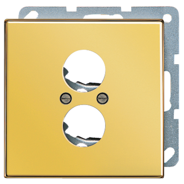 Centre plate for 2 loudspeaker sockets LS962GGO image 3