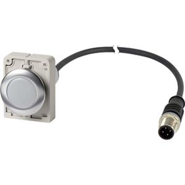 Indicator light, Flat, Cable (black) with M12A plug, 4 pole, 1 m, Lens white, LED white, 24 V AC/DC image 2