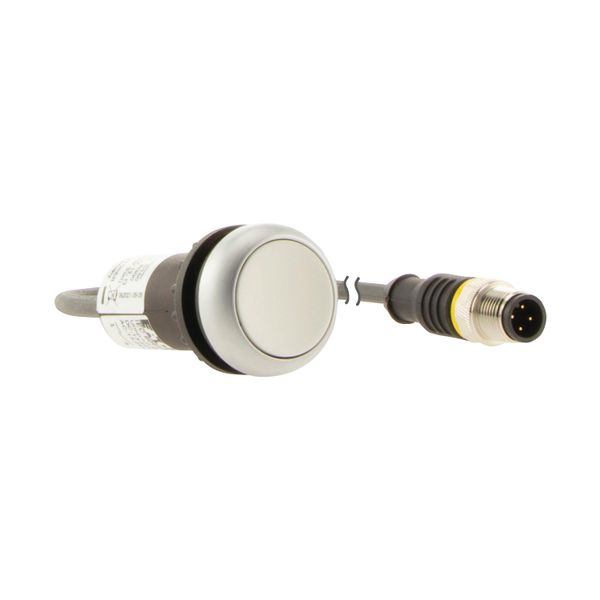 Pushbutton, Flat, momentary, 1 N/O, Cable (black) with M12A plug, 4 pole, 0.2 m, White, Blank, Bezel: titanium image 17
