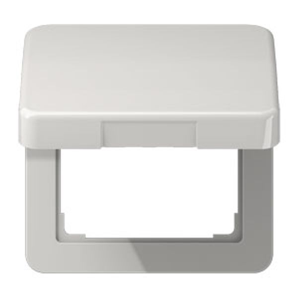 Centre plate with hinged lid CD590BFKLLG image 4
