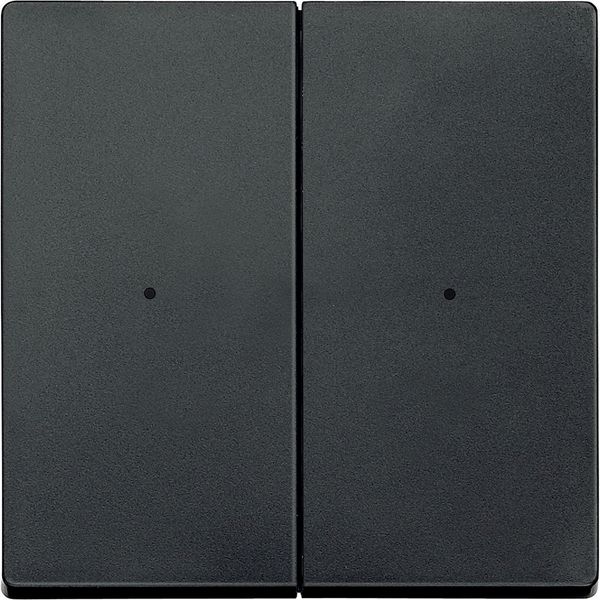 Rockers for 2-gang push-button module, anthracite, System M image 1