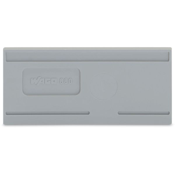 Separator plate 2 mm thick oversized gray image 2