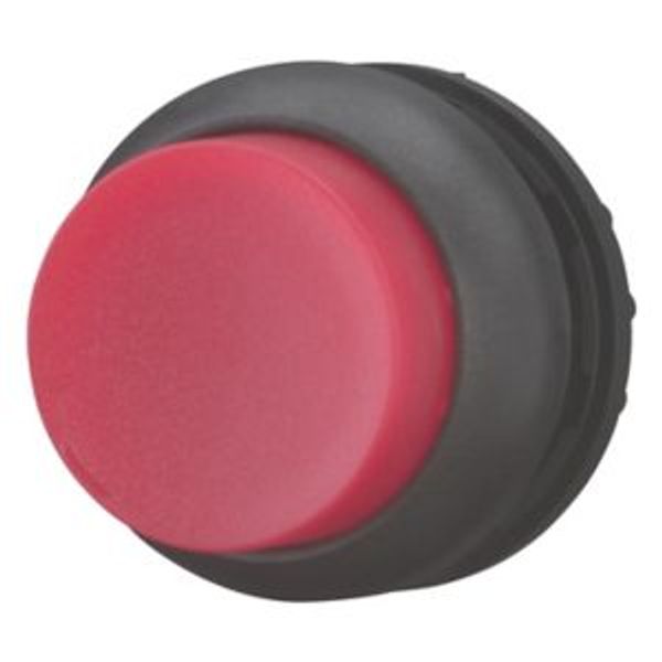 Illuminated pushbutton actuator, RMQ-Titan, Extended, maintained, red, Blank, Bezel: black image 2
