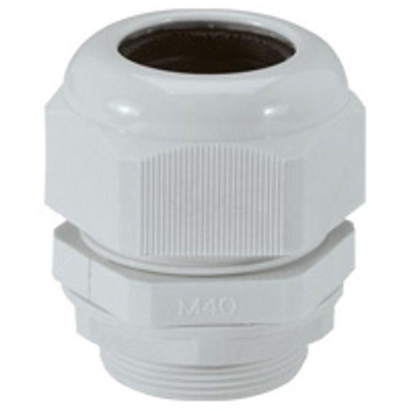 Cable gland plastic - IP 55 - ISO 40 - clamping capacity 22-32 mm - RAL 7035 image 1
