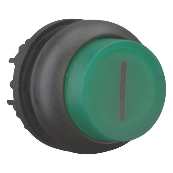 Illuminated pushbutton actuator, RMQ-Titan, Extended, momentary, green, inscribed, Bezel: black image 12