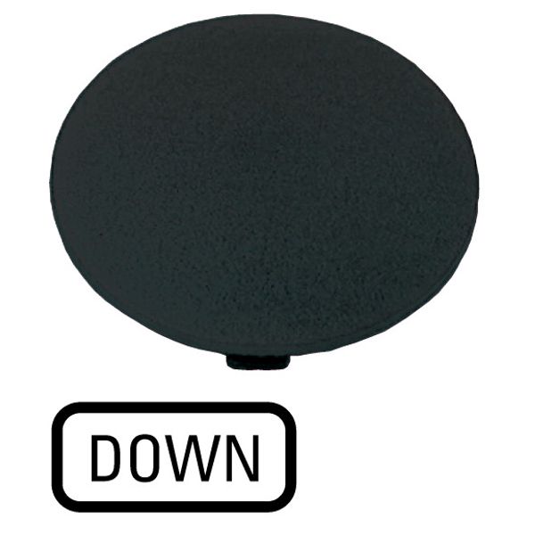 Button plate, mushroom black, DOWN image 1