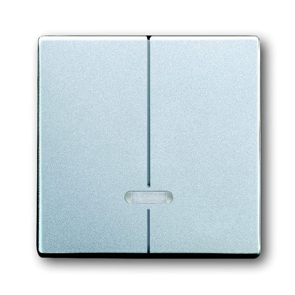 6545-83 CoverPlates (partly incl. Insert) future®, Busch-axcent® Aluminium silver image 1