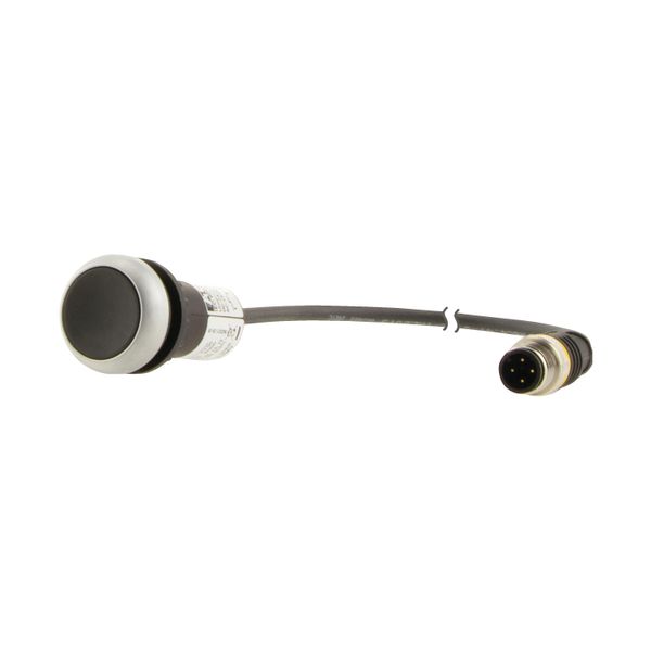 Pushbutton, Flat, momentary, 1 NC, Cable (black) with M12A plug, 4 pole, 1 m, black, Blank, Bezel: titanium image 6