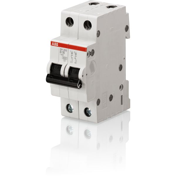 SH202-B13 Miniature Circuit Breaker - 2P - B - 13 A image 1