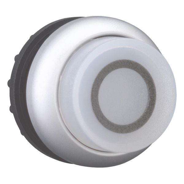 Illuminated pushbutton actuator, RMQ-Titan, Extended, maintained, White, inscribed 0, Bezel: titanium image 14