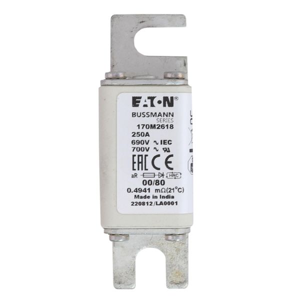 Fuse-link, high speed, 250 A, AC 690 V, DIN 00, 30 x 51 x 100 mm, aR, DIN, IEC, single indicator image 21