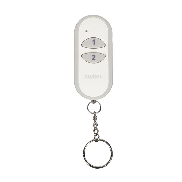 2-Channel remote control type: P-257/2 image 1