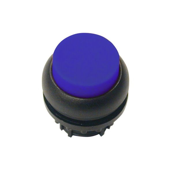 Illuminated pushbutton actuator, RMQ-Titan, Extended, momentary, Blue, Blank, Bezel: black image 1