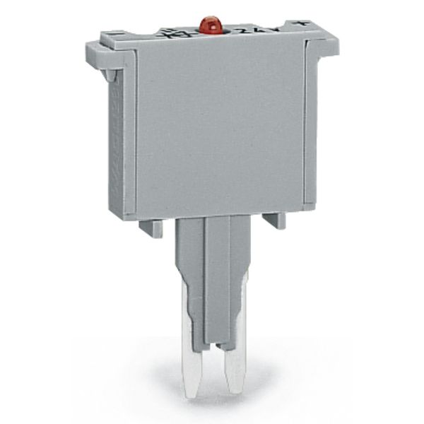 Fuse plug with soldered miniature fuse with indicator lamp gray image 4