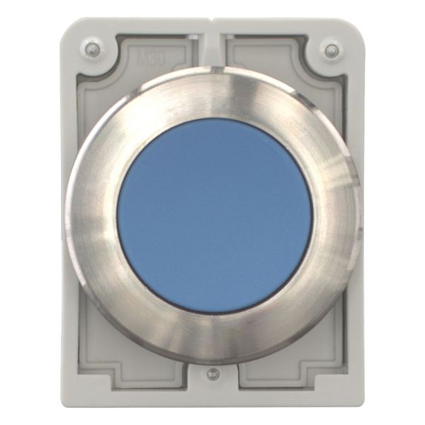 Pushbutton, RMQ-Titan, flat, momentary, Blue, blank, Front ring stainless steel image 4