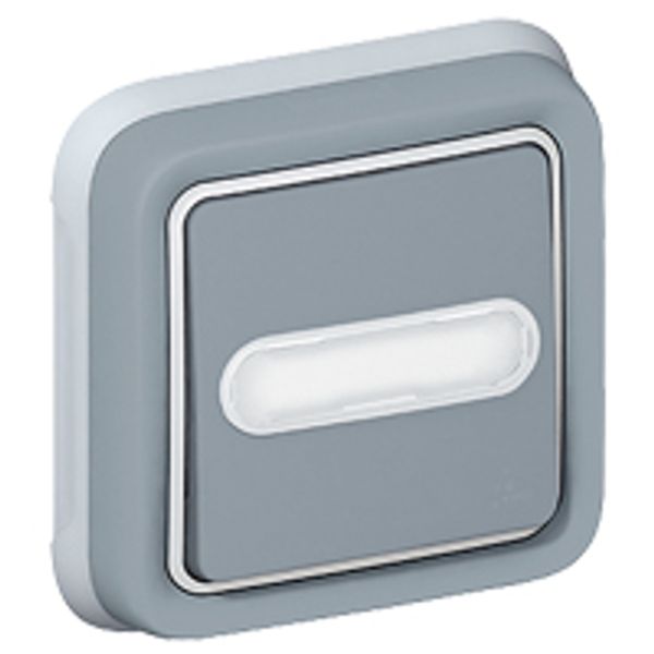 Push-button Plexo IP 55 - illum changeover + label holder - flush mounting -grey image 1