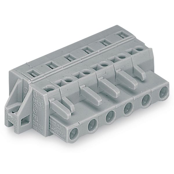 1-conductor female connector CAGE CLAMP® 2.5 mm² gray image 1