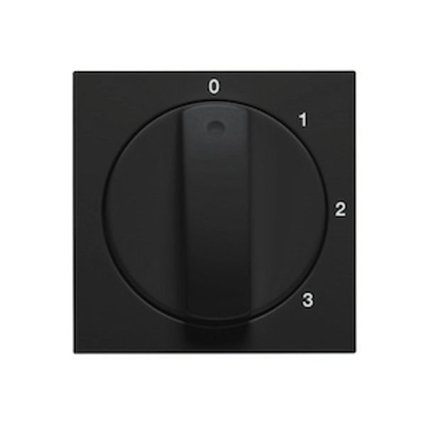Centraalplaat BADORA met knop voor3-standen-schakelaar, Mat zwart image 1