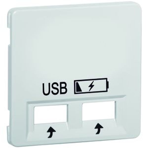 centraalplaat USB charger,alu image 1